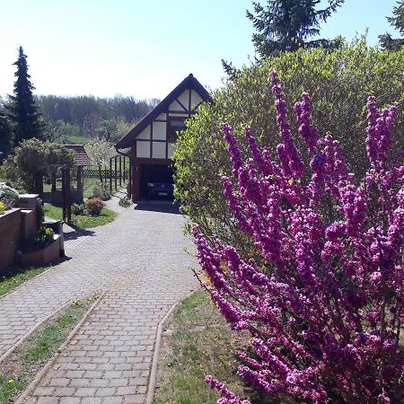 Ferienwohnung Zur Saaleaue Wettin Bagian luar foto