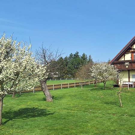 Ferienwohnung Zur Saaleaue Wettin Bagian luar foto