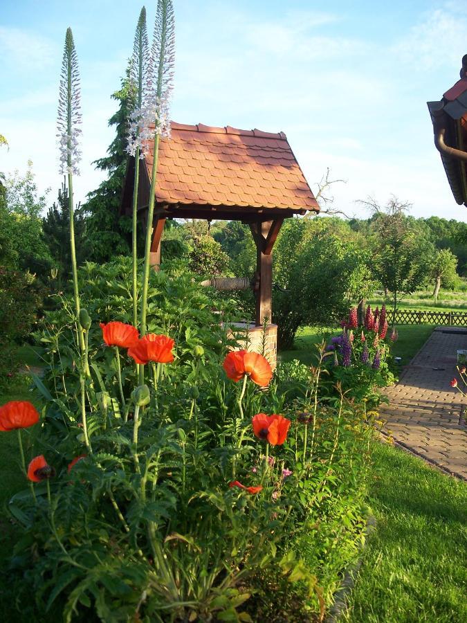 Ferienwohnung Zur Saaleaue Wettin Bagian luar foto