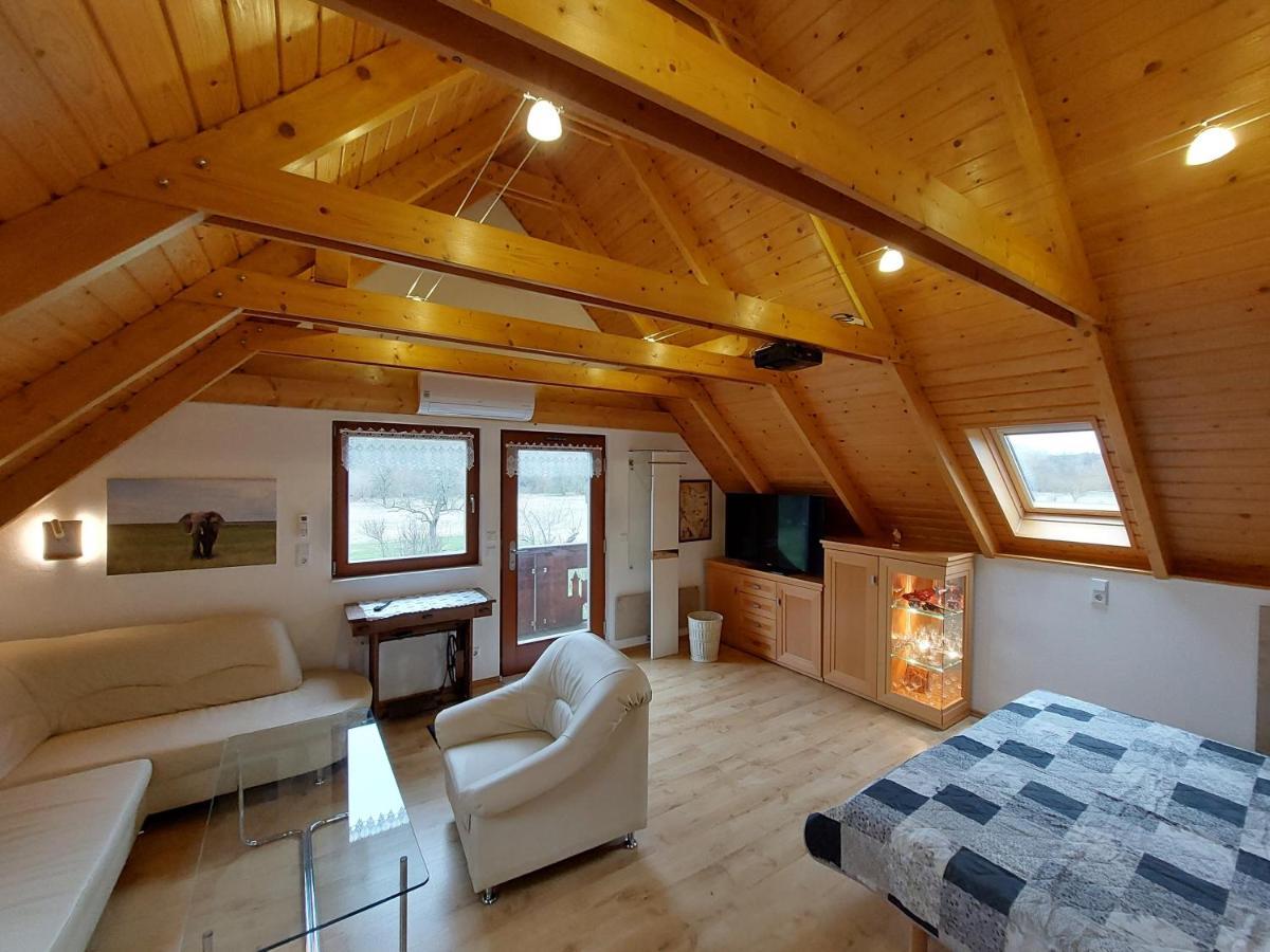 Ferienwohnung Zur Saaleaue Wettin Bagian luar foto