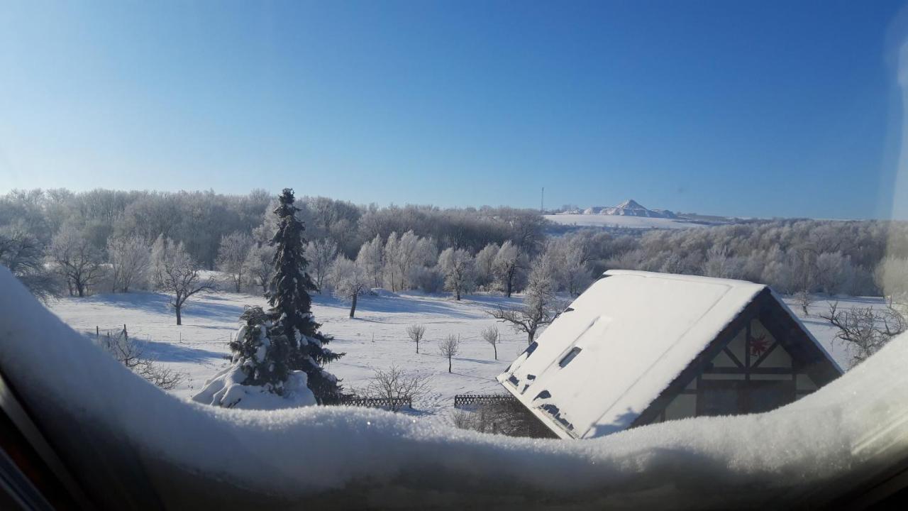 Ferienwohnung Zur Saaleaue Wettin Bagian luar foto