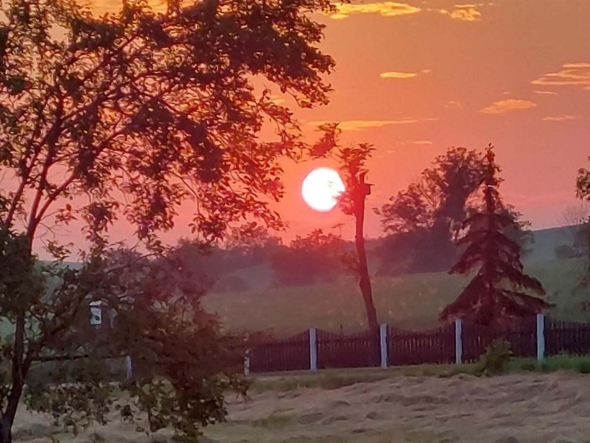 Ferienwohnung Zur Saaleaue Wettin Bagian luar foto