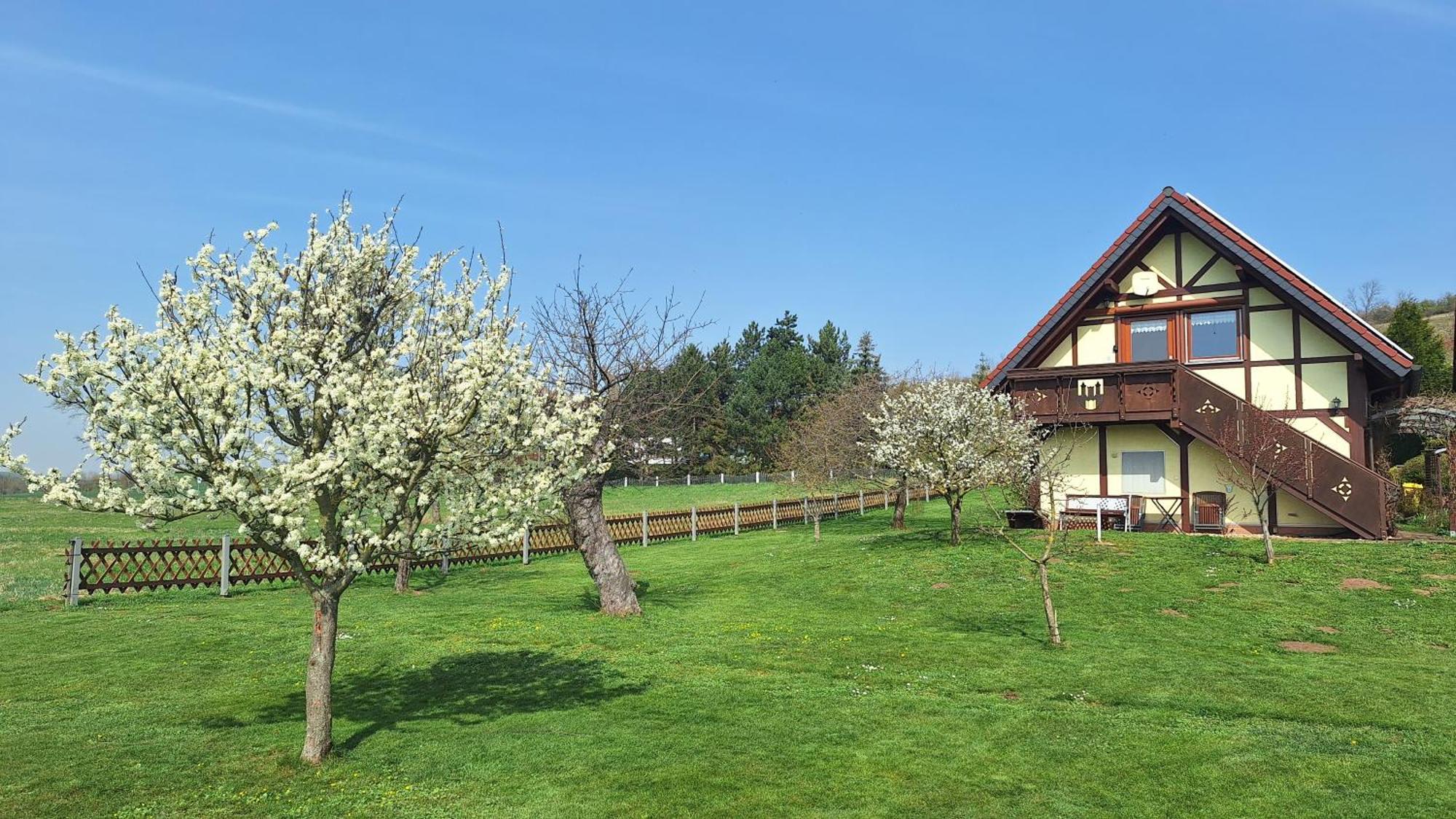 Ferienwohnung Zur Saaleaue Wettin Bagian luar foto